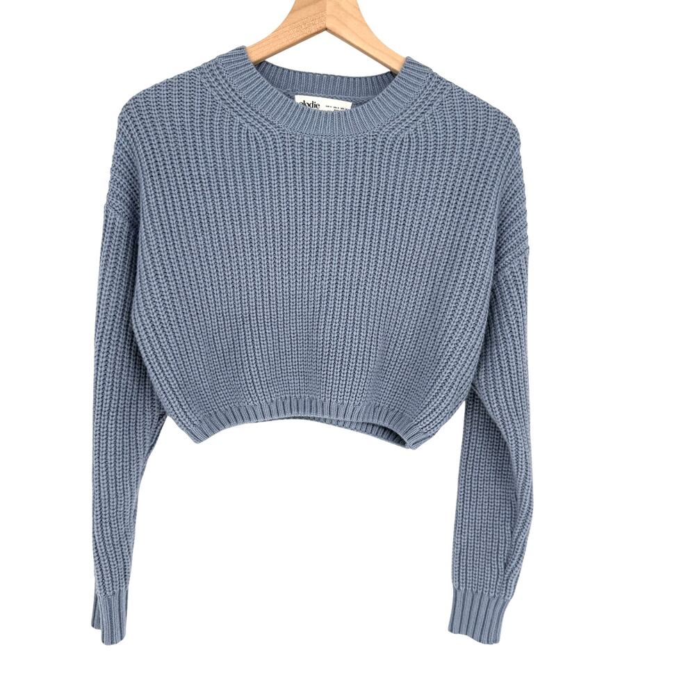 Elodie Womens Size‎ S Ribbed Chunky Knit Sweater Cropped Blue Softgirl Cozy